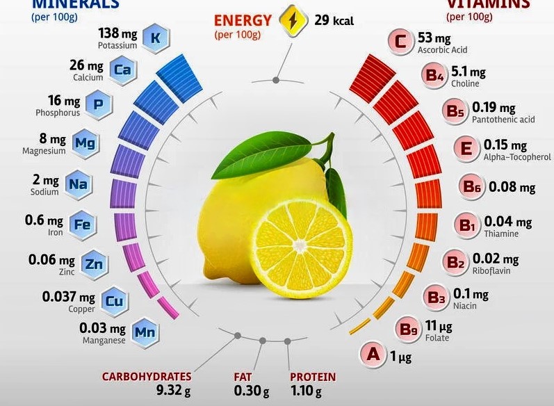 This image has an empty alt attribute; its file name is lemon-components3.jpeg